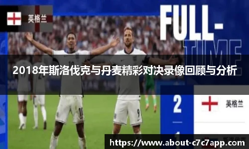 2018年斯洛伐克与丹麦精彩对决录像回顾与分析